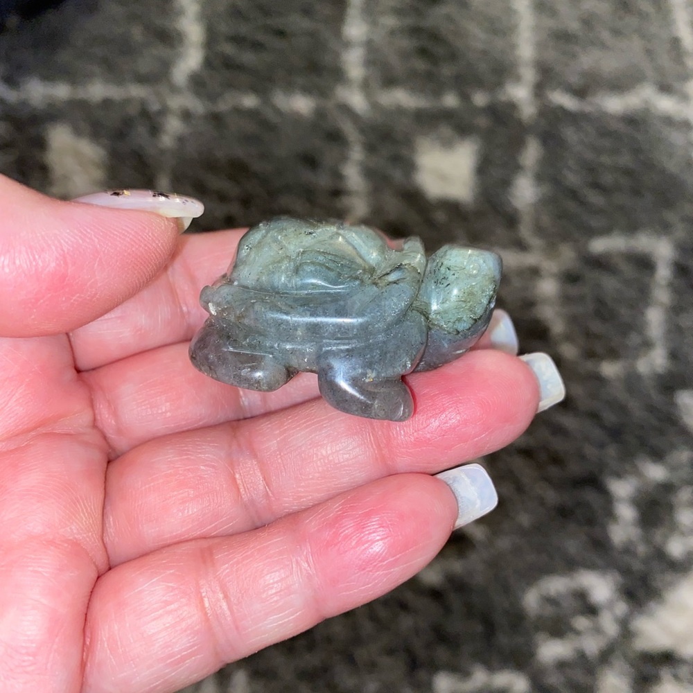 Crystal turtles - Picture 6 of 16